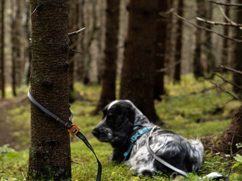Non-Stop Dogwear Touring Bungee adj.
