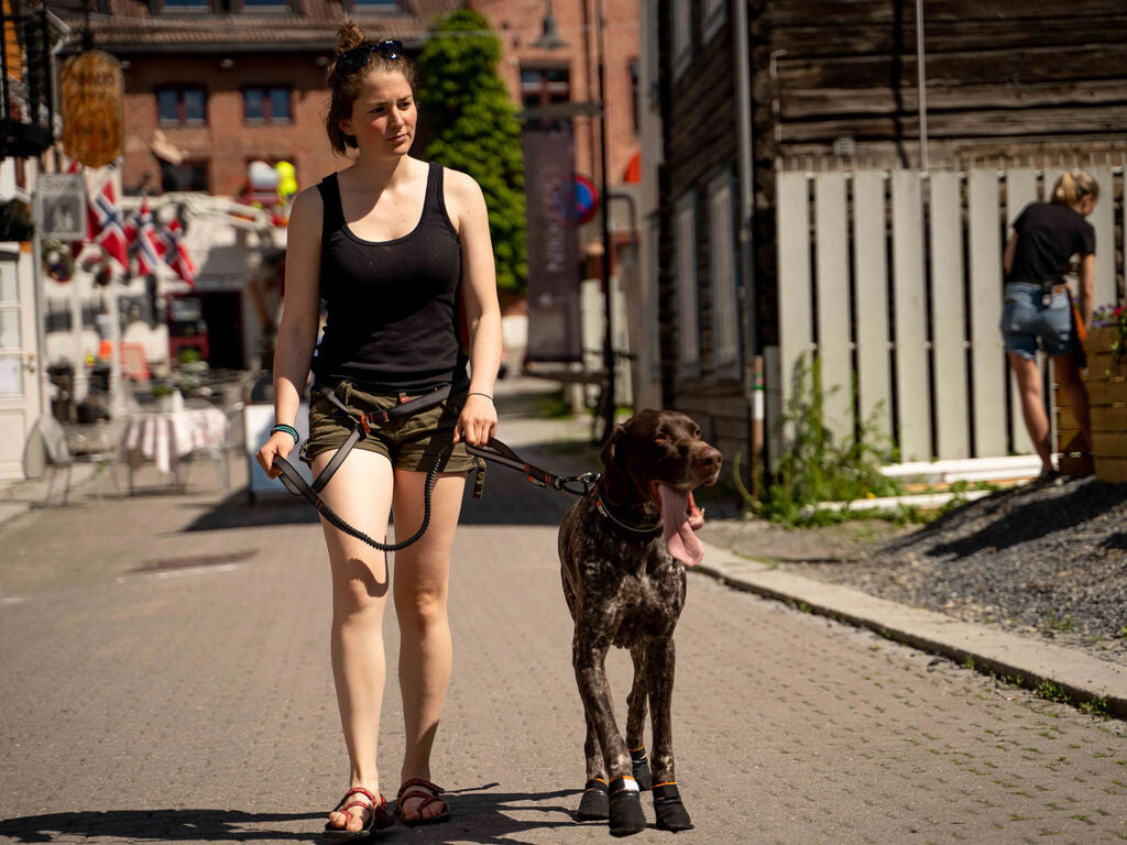 Non-Stop Dogwear Touring Bungee adj.