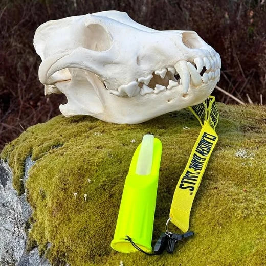 Clausen Predatorlokk