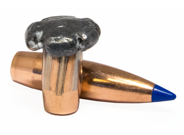 Norma Bondstrike Kal. 308 Win 180gr / 11,7g