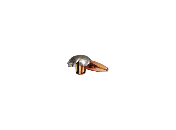 Norma Vulkan 30-06 180gr / 11,7g