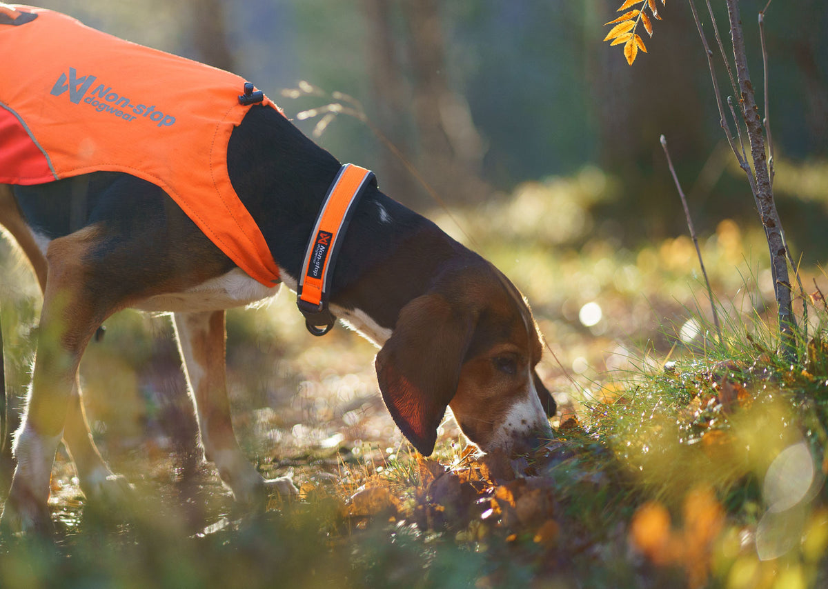 Non-Stop Dogwear Protector collar, halsbånd