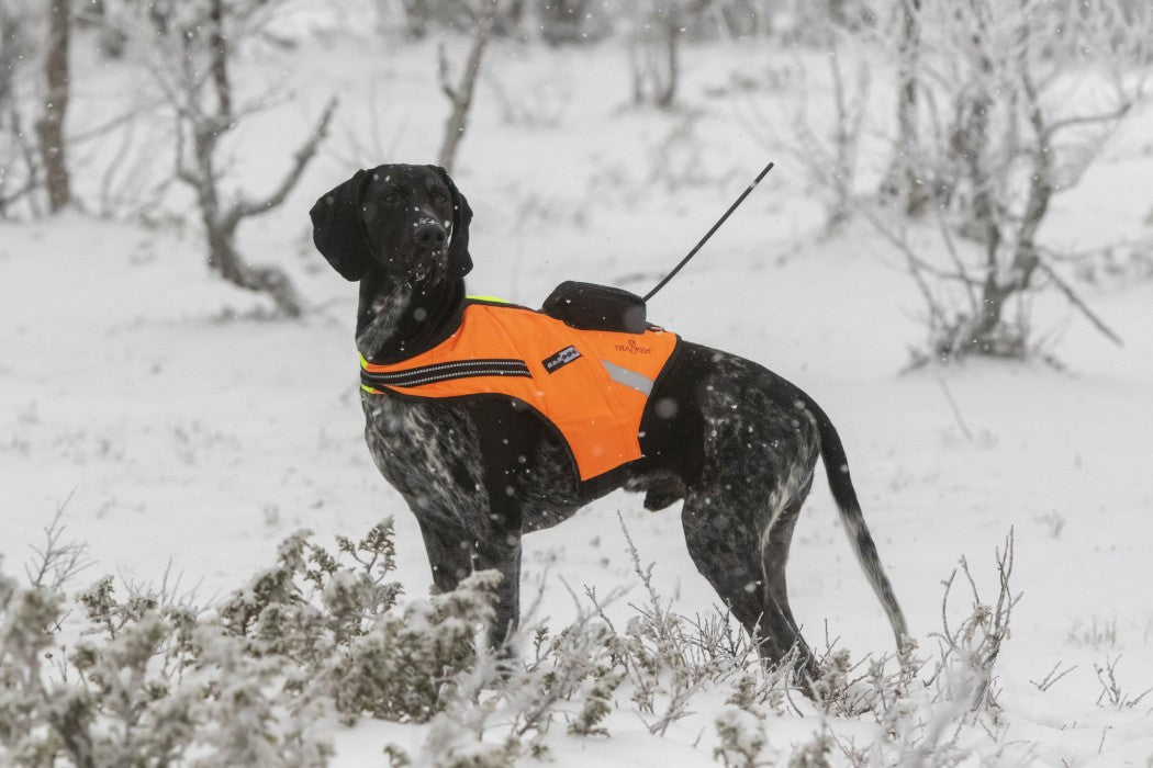 Kardog Luoto Tracker Hundevest med flyteelement