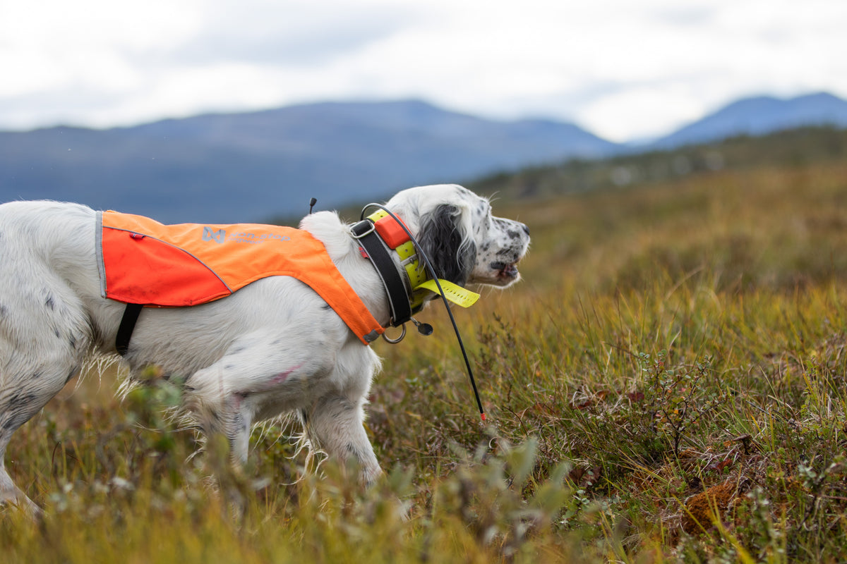 Non-Stop Dogwear jaktdekken