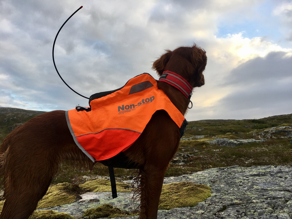 Non-Stop Dogwear jaktdekken med GPS lomme