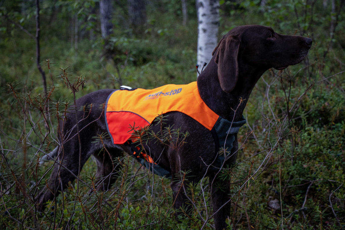 Non-Stop Dogwear Protector vest