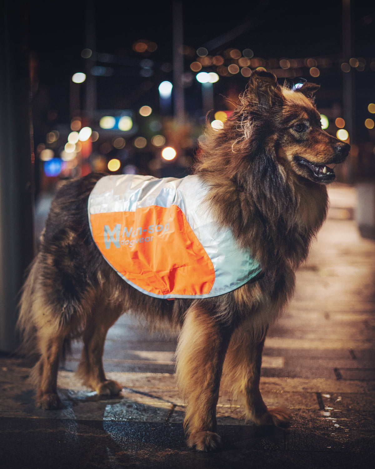 Non-Stop Dogwear Reflection blanket vest