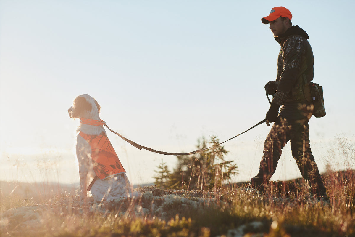 Non-Stop Dogwear Touring Bungee adjustable bånd